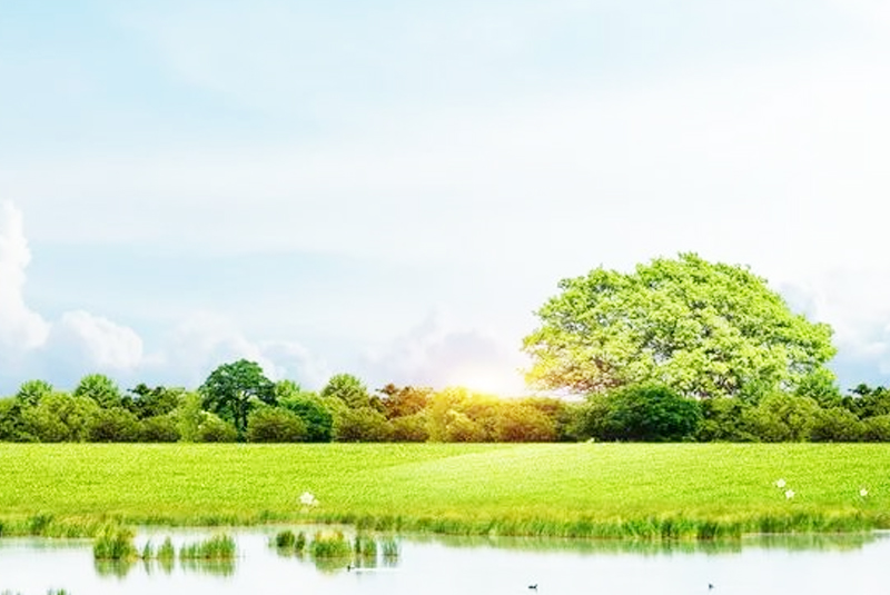 8月15日擬成為全國生態(tài)日,科以集團科技賦能助力環(huán)保產(chǎn)業(yè)構(gòu)建良好生態(tài)環(huán)境